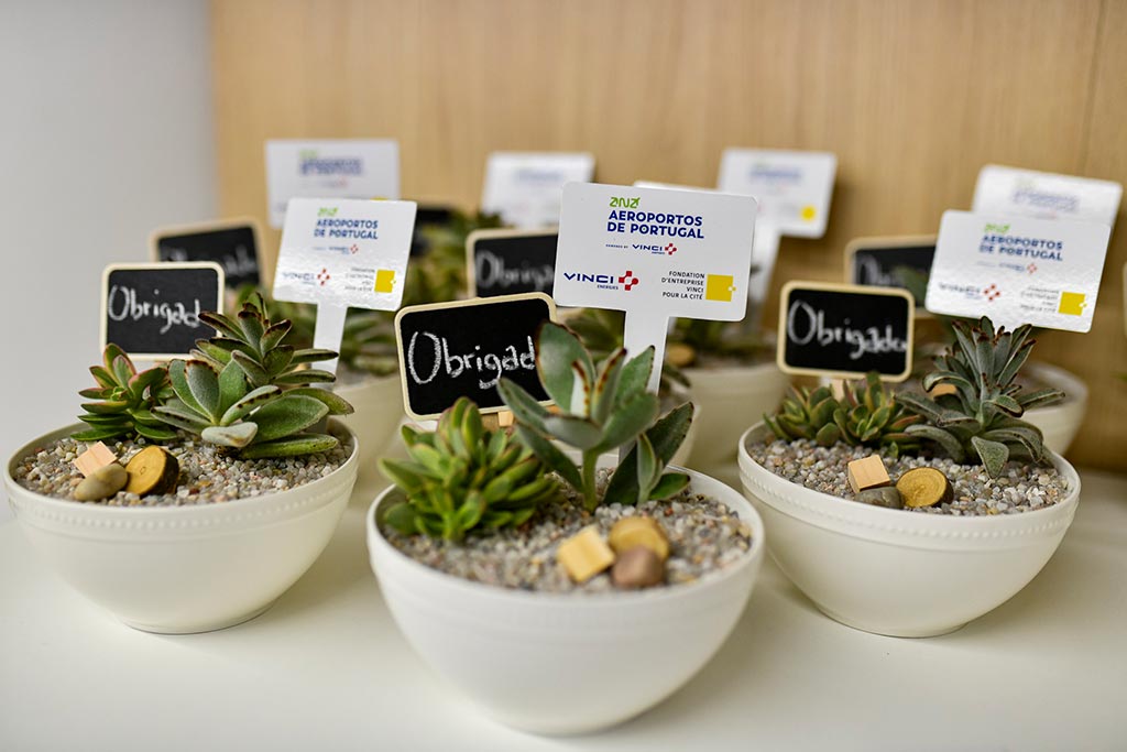 Projetos Selecionados da 6ª edição do Programa VINCI para a Cidadania